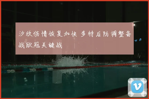 沙欣伤情恢复加快 多特后防调整备战欧冠关键战
