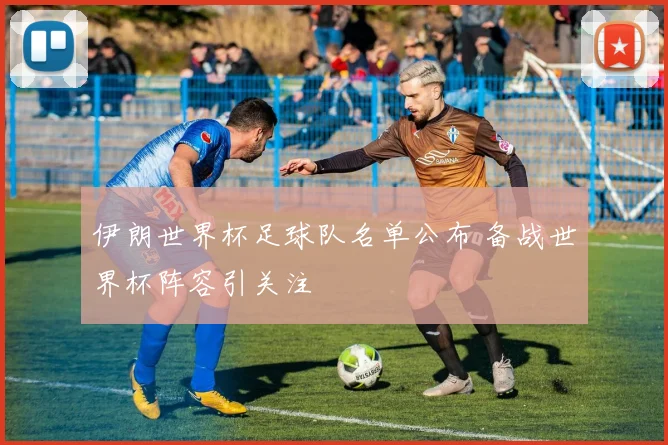 伊朗世界杯足球队名单公布 备战世界杯阵容引关注