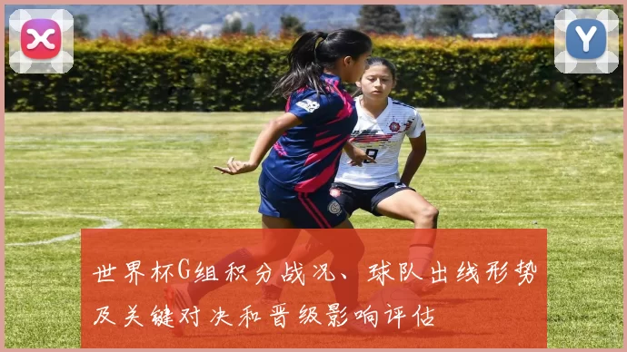 世界杯G组积分战况、球队出线形势及关键对决和晋级影响评估