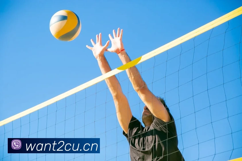 bat365(中国)在线平台官方网站 - 登录入口品牌故事